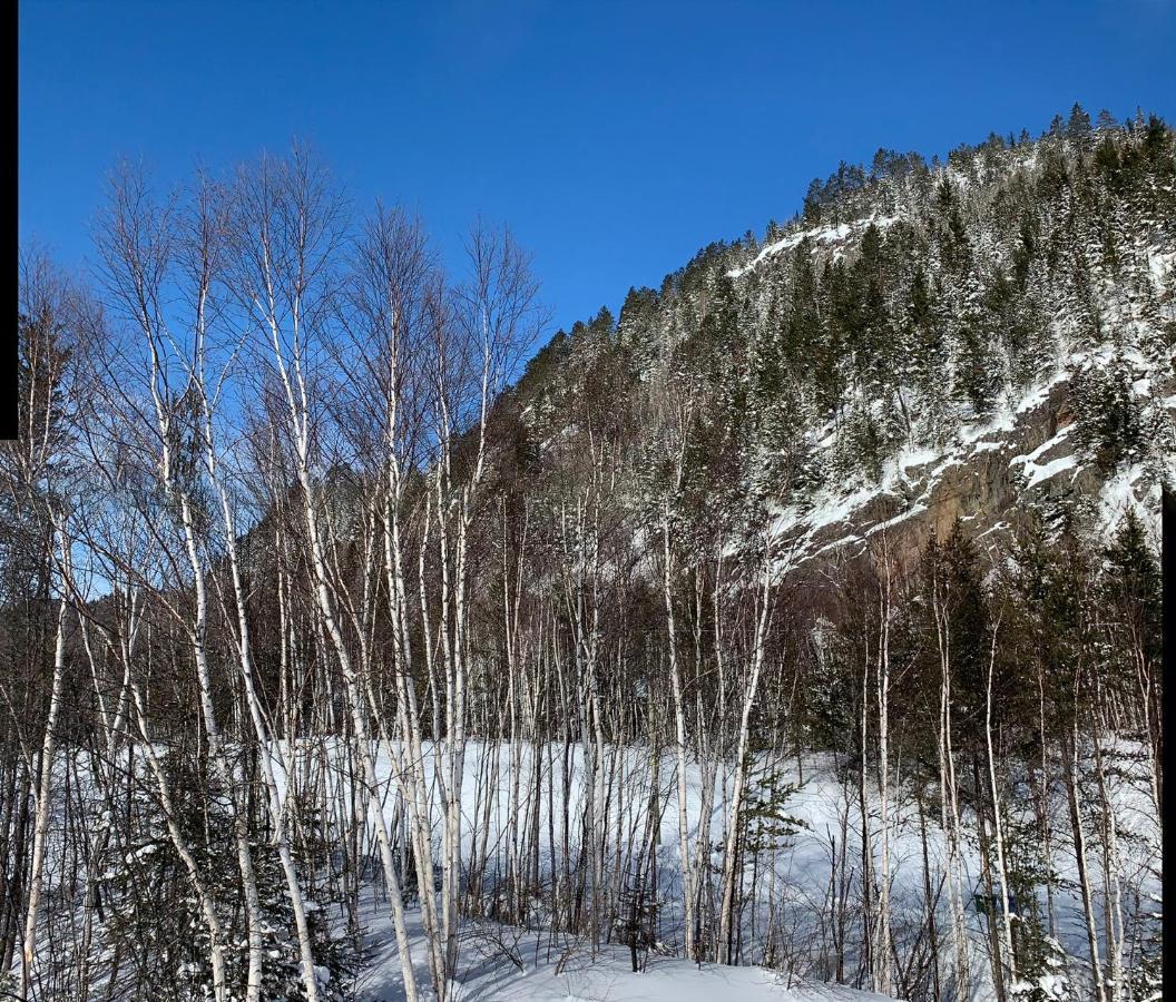Condo Mont-Edouard LʼAnse-Saint-Jean Eksteriør billede