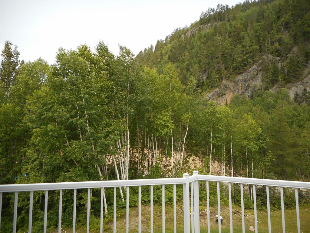 Condo Mont-Edouard LʼAnse-Saint-Jean Eksteriør billede
